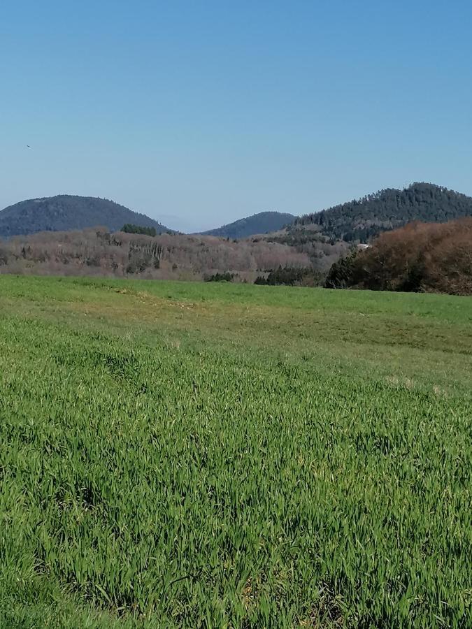 Air Paix Le Mont Vila Herpelmont Exterior foto